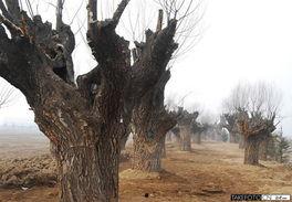 西安湿地公园爆料视频,自然美景引网友热议 第1张 西安湿地公园爆料视频,自然美景引网友热议 第1张