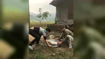 热点爆料李小龙视频,传奇武术宗师的真实影像曝光 第3张 热点爆料李小龙视频,传奇武术宗师的真实影像曝光 第3张